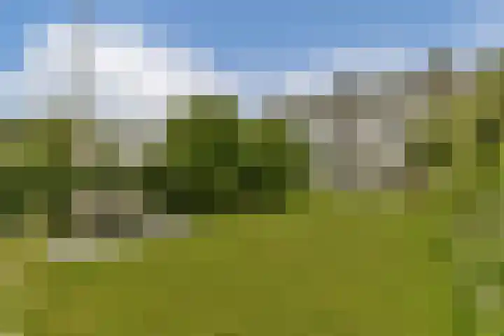 Overmeerseweg 98 Nederhorst den Berg thumbnail 14