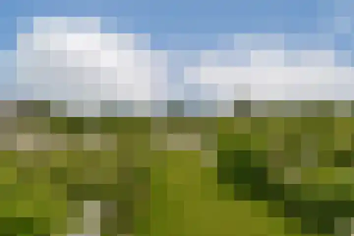 Overmeerseweg 98 Nederhorst den Berg thumbnail 19