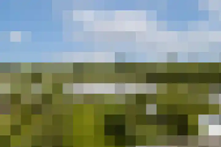 Overmeerseweg 98 Nederhorst den Berg thumbnail 27