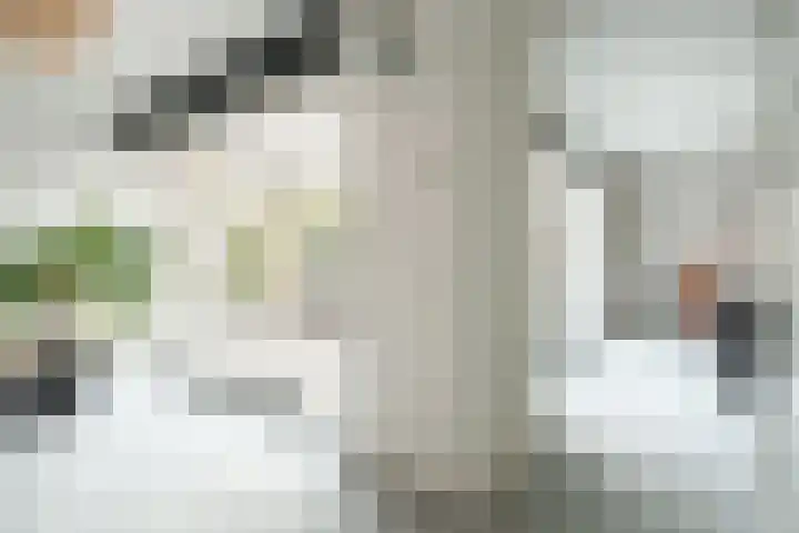 Overplaats van Oirschot 18 Zeist thumbnail 11