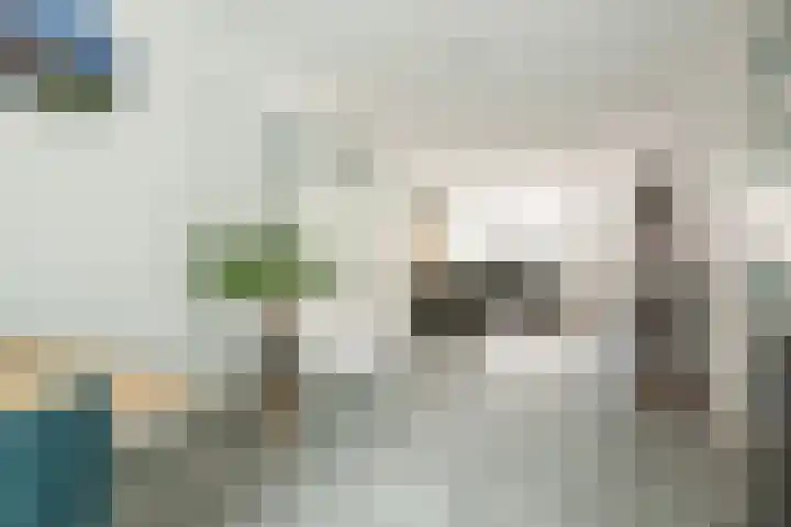 Overplaats van Oirschot 18 Zeist thumbnail 13