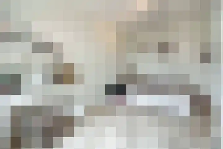 Overplaats van Oirschot 18 Zeist thumbnail 15