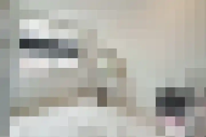 Overplaats van Oirschot 18 Zeist thumbnail 16