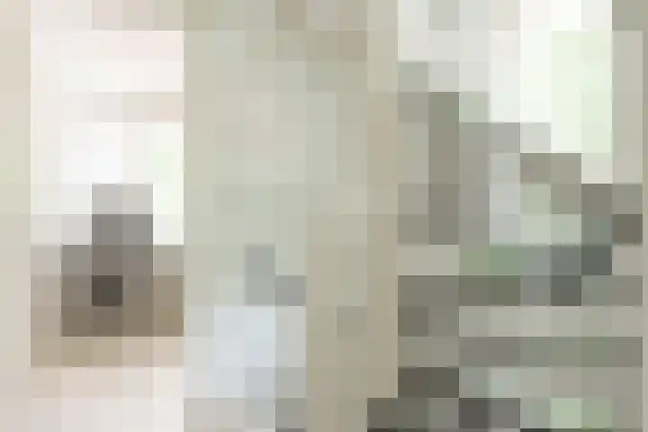 Overplaats van Oirschot 18 Zeist thumbnail 19