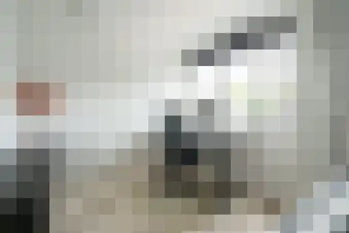 Overplaats van Oirschot 18 Zeist thumbnail 20
