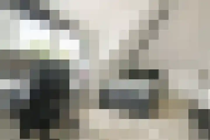 Overplaats van Oirschot 18 Zeist thumbnail 21