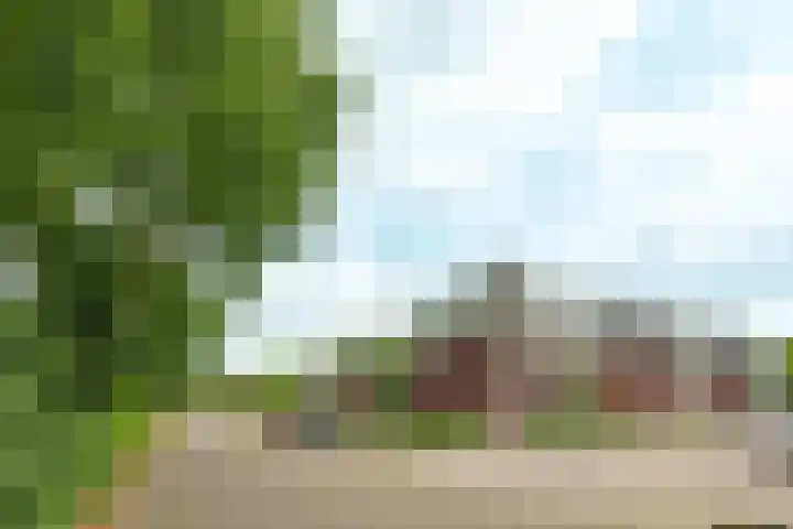 Overplaats van Oirschot 18 Zeist thumbnail 27
