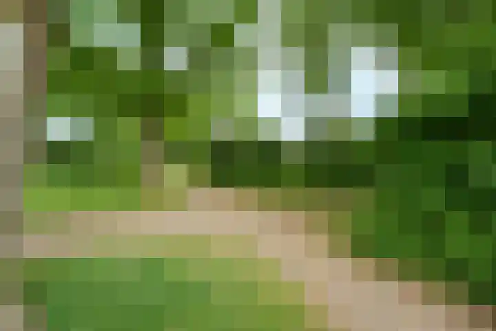 Overplaats van Oirschot 18 Zeist thumbnail 28