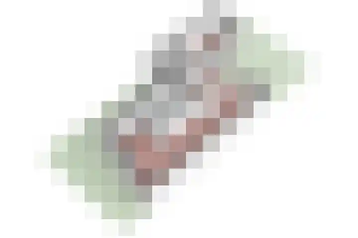 Overplaats van Oirschot 18 Zeist thumbnail 35