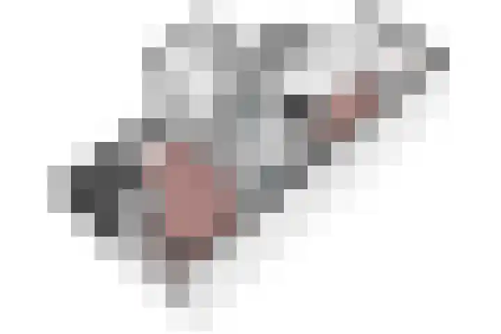 Overplaats van Oirschot 18 Zeist thumbnail 38