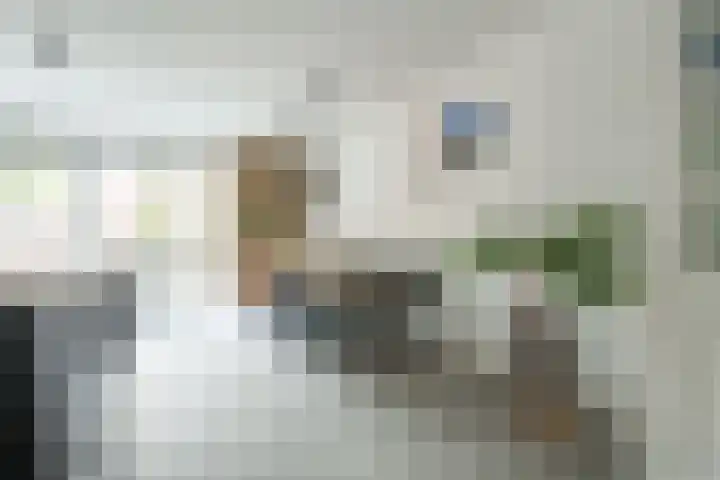 Overplaats van Oirschot 18 Zeist thumbnail 6