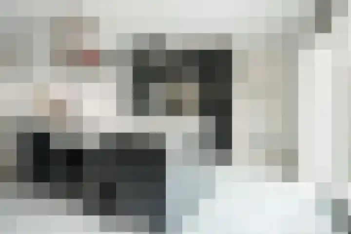 Overplaats van Oirschot 18 Zeist thumbnail 8