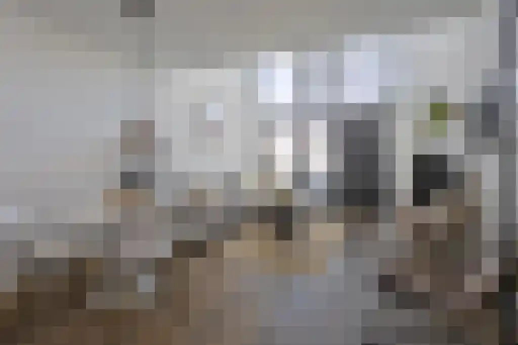 Overrijn 18 Leiden thumbnail 4