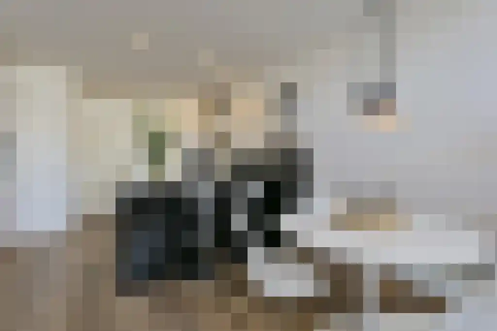 Overrijn 18 Leiden thumbnail 5
