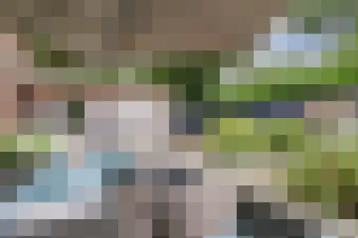 Overrijn 19 Katwijk thumbnail 7