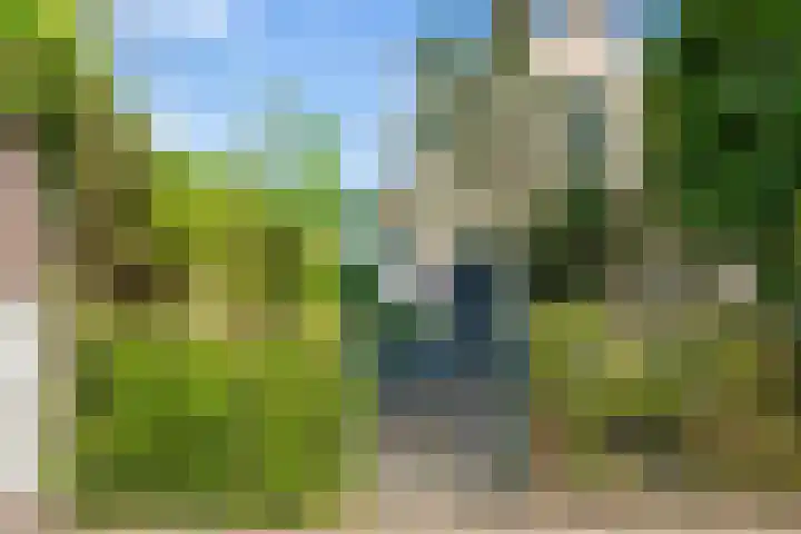 Overrijn 19 Leiden thumbnail 5