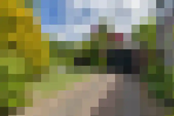 Overrijn 28 Katwijk thumbnail 35