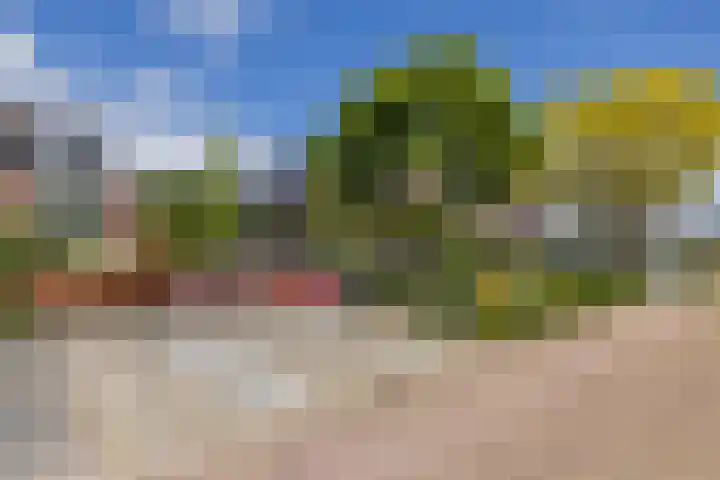 Overrijn 28 Katwijk thumbnail 38