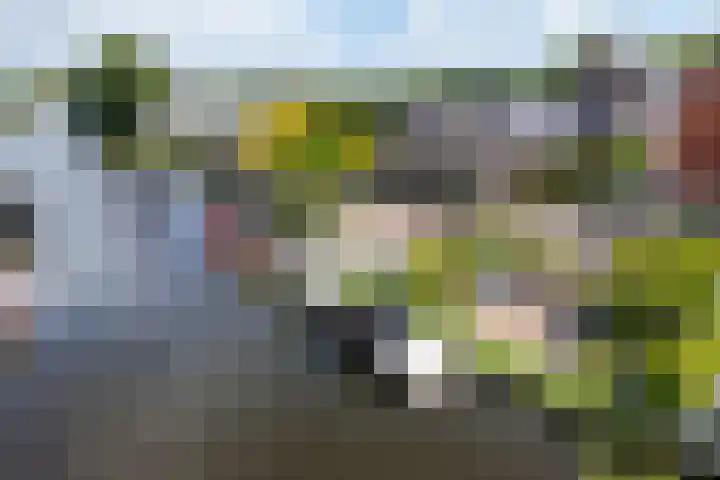 Overrijn 28 Katwijk thumbnail 42
