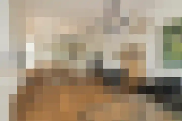 Overrijn 28 Katwijk thumbnail 9
