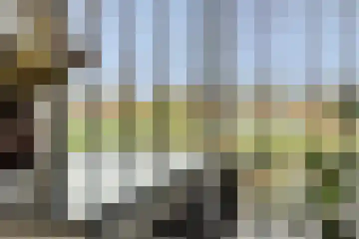 Overschie 3 's-Hertogenbosch thumbnail 14
