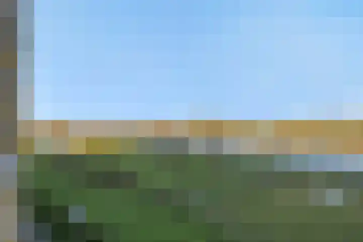 Overschie 3 's-Hertogenbosch thumbnail 25