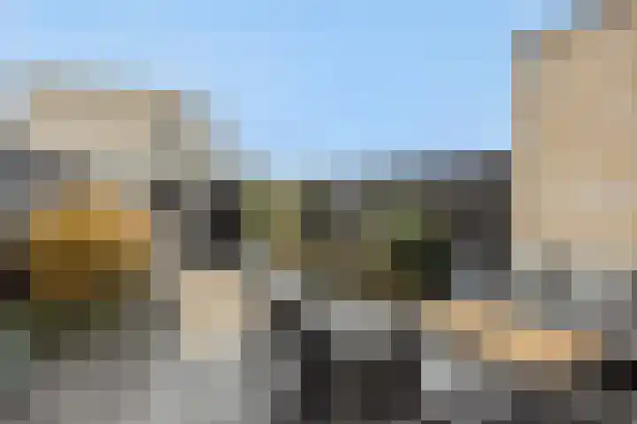 Overschie 3 's-Hertogenbosch thumbnail 27