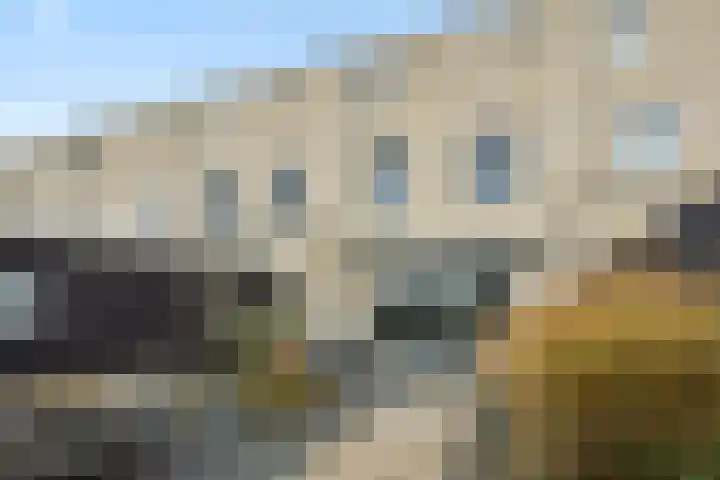 Overschie 3 's-Hertogenbosch thumbnail 28