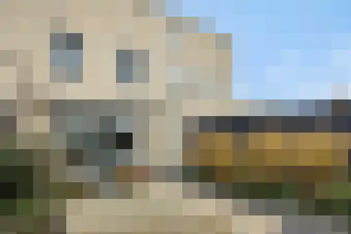 Overschie 3 's-Hertogenbosch thumbnail 29