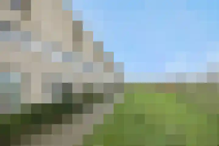 Overschie 3 's-Hertogenbosch thumbnail 32
