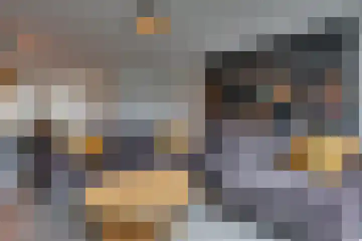 Overschie 74 's-Hertogenbosch thumbnail 12