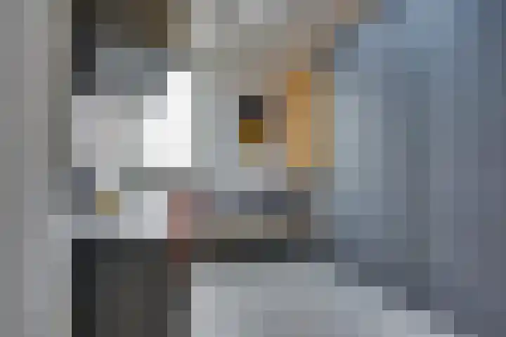Overschie 74 's-Hertogenbosch thumbnail 25