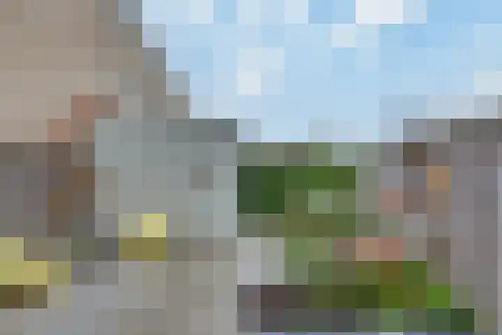 Overschie 74 's-Hertogenbosch thumbnail 26