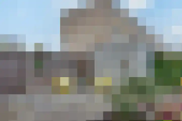 Overschie 74 's-Hertogenbosch thumbnail 27