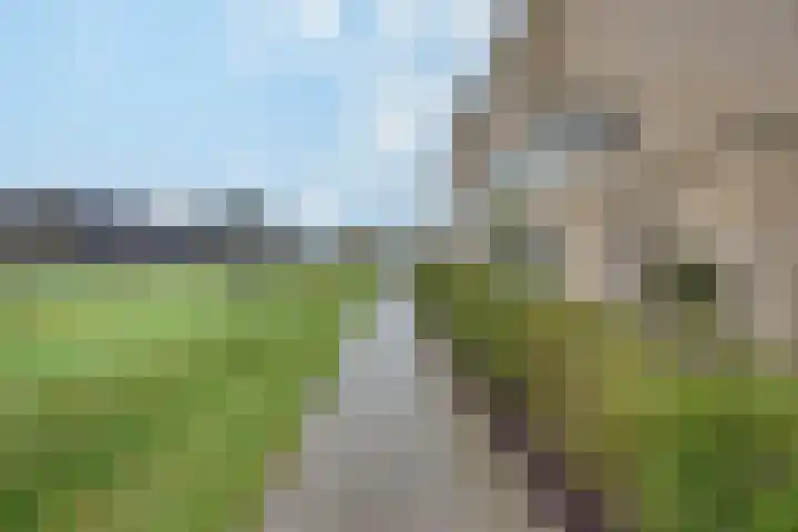 Overschie 74 's-Hertogenbosch thumbnail 33
