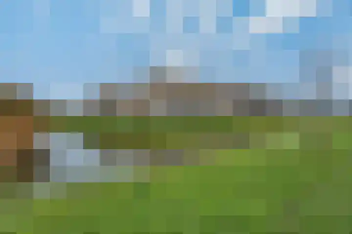 Overschie 74 's-Hertogenbosch thumbnail 34