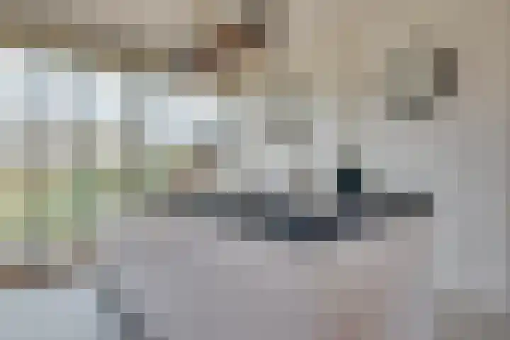 Overschie 74 's-Hertogenbosch thumbnail 6