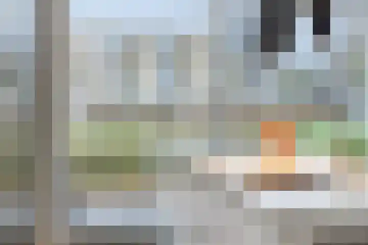 Overschie 76 's-Hertogenbosch thumbnail 13