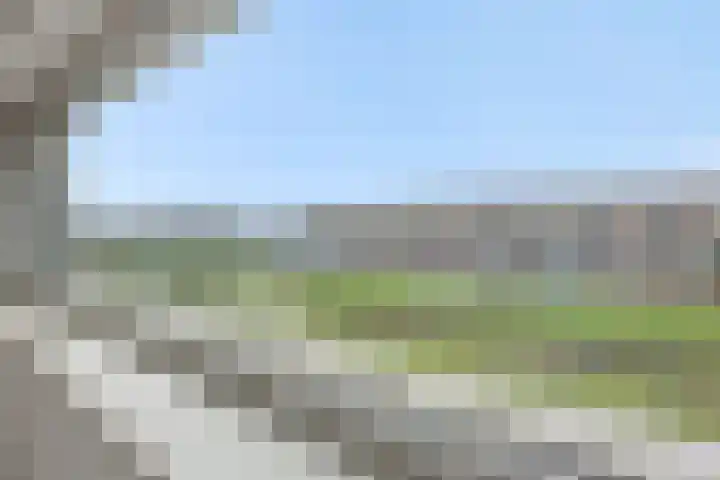 Overschie 76 's-Hertogenbosch thumbnail 20