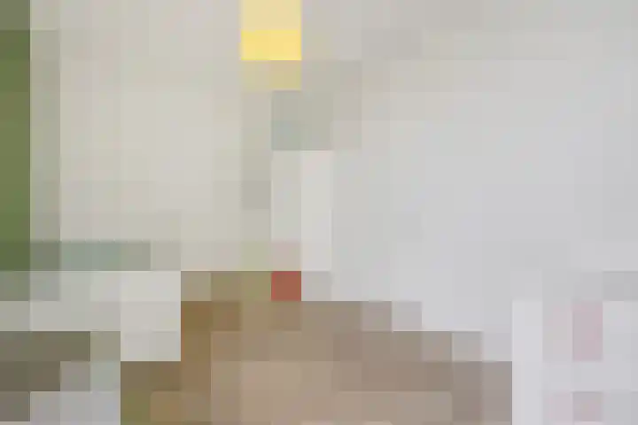 Overschie 76 's-Hertogenbosch thumbnail 28