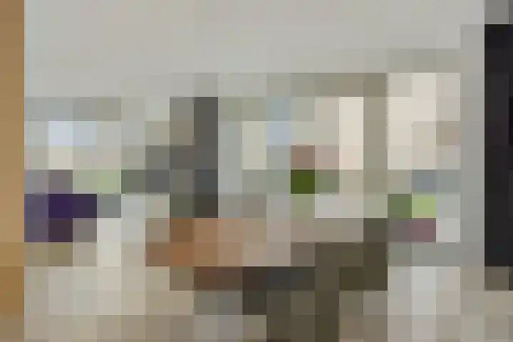 Overschie 76 's-Hertogenbosch thumbnail 4