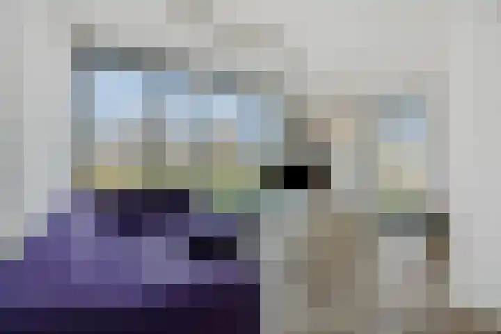 Overschie 76 's-Hertogenbosch thumbnail 5