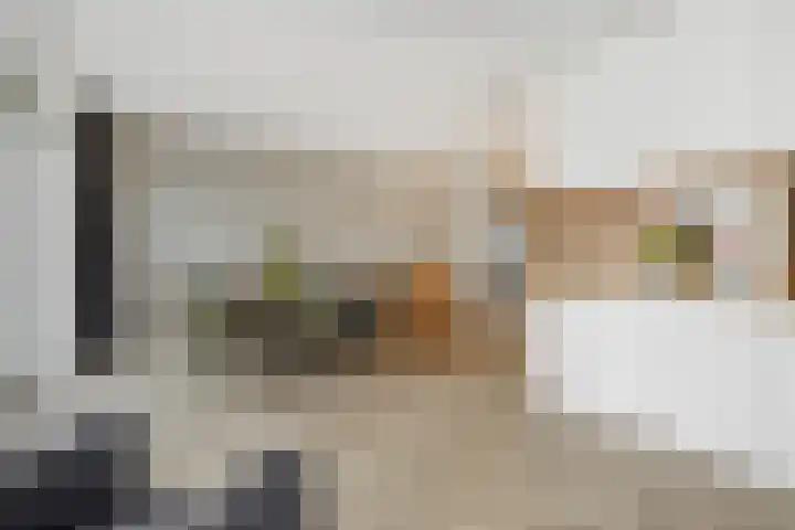 Overschie 76 's-Hertogenbosch thumbnail 8