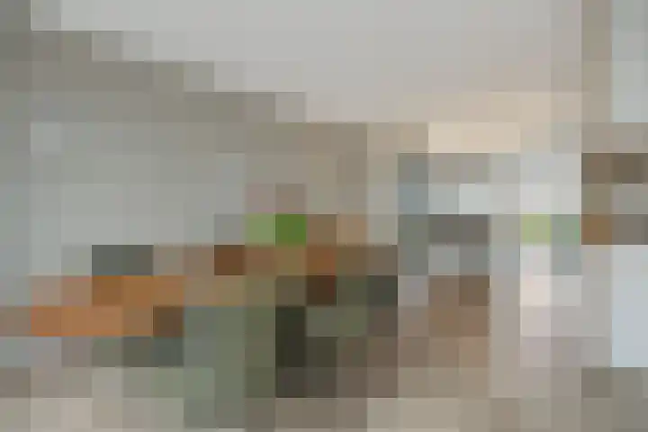 Overschie 76 's-Hertogenbosch thumbnail 9