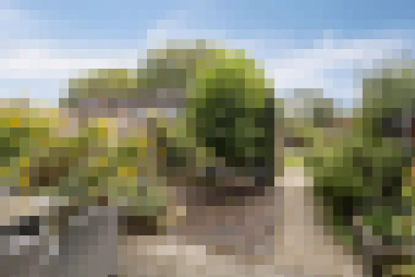 Overschiepad 11 Arnhem thumbnail 11