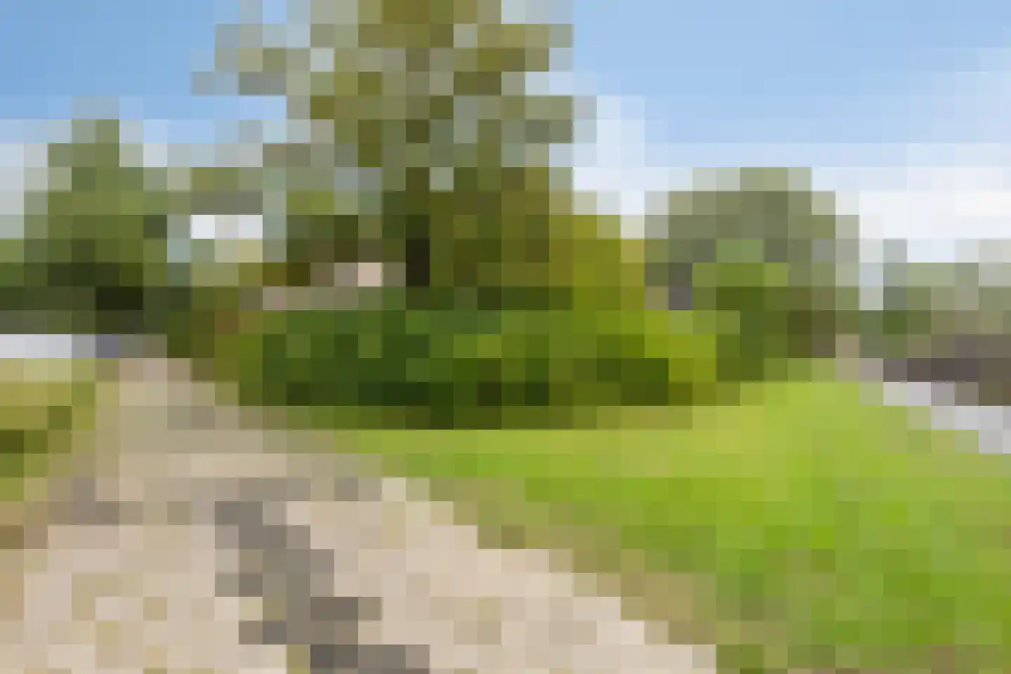 Overschiepad 11 Arnhem thumbnail 29