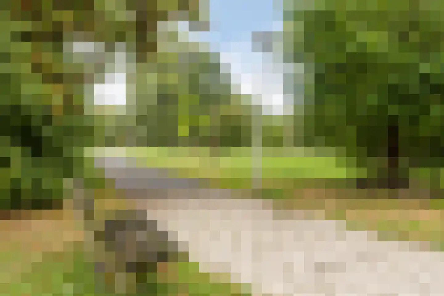 Overschiepad 11 Arnhem thumbnail 32