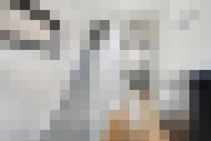 Overschiese Dorpsstraat 131 Rotterdam thumbnail 5