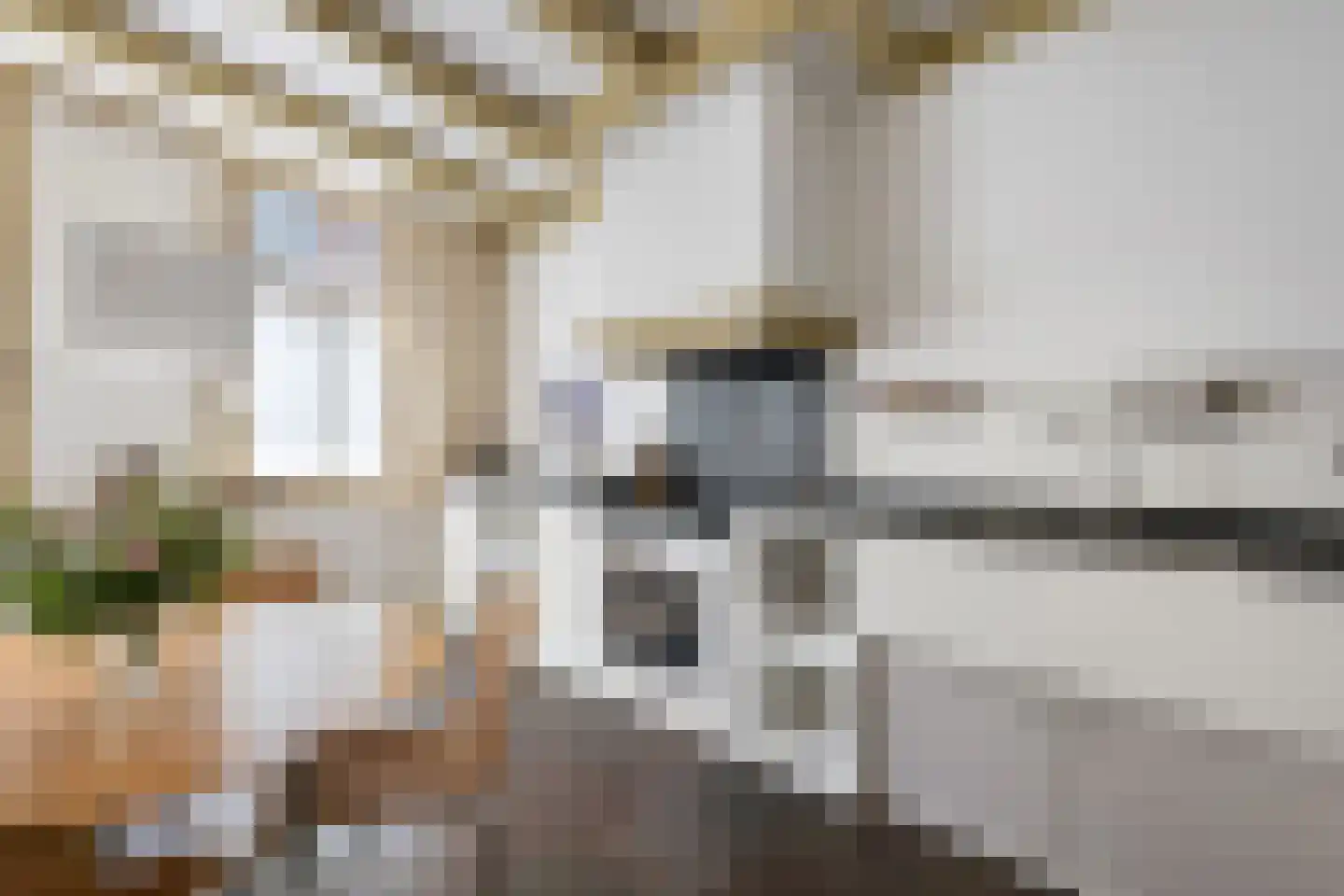 Overschiese Dorpsstraat 53 Rotterdam thumbnail 18