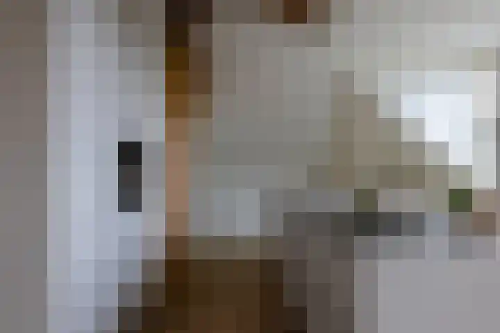 Overschiese Dorpsstraat 64 B Rotterdam thumbnail 7